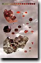 ū�������κ���