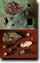 ū��������