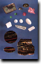 ū��������