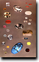 ū��������