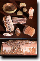 ū��������