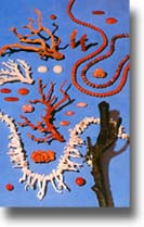 ū��������