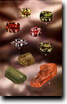 ū�������κ���